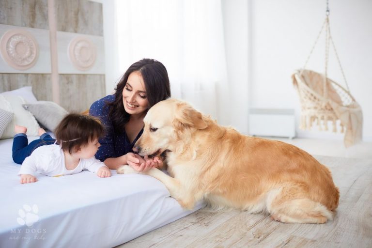 Are Dogs Good For Families?