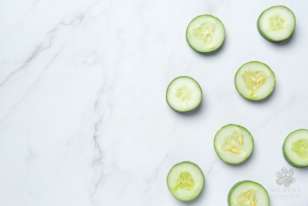 Fresh cucumbers sliced on marble background