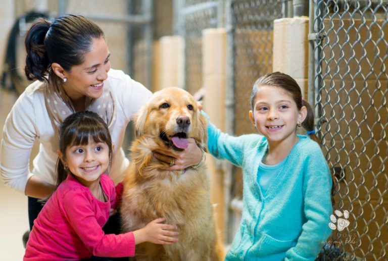 family adopting a dog from animal shelter